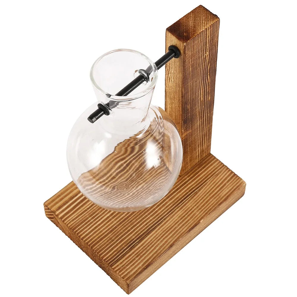 The Botanist’s Flask - Glass Vases