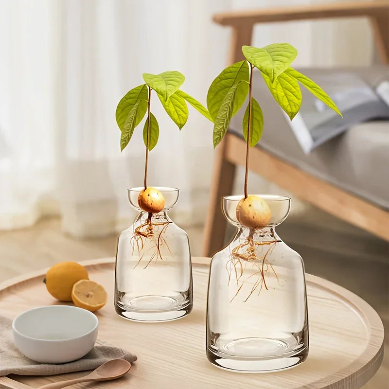 Avocado Seed Vase
